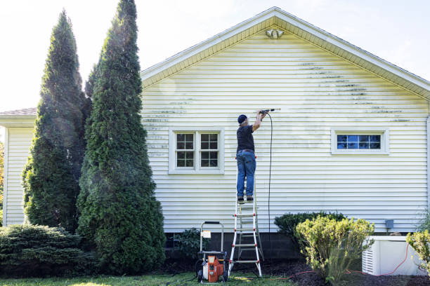 Best Window Cleaning in Ridge Wood Heights, FL